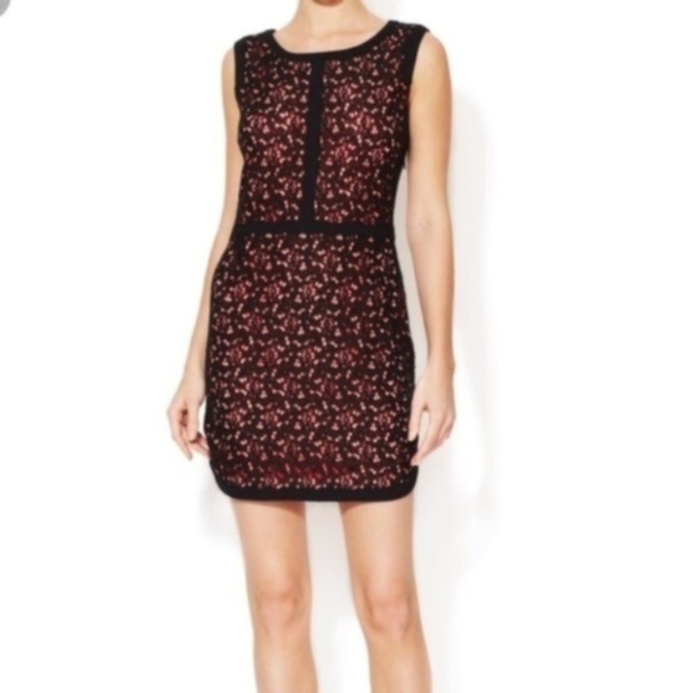 Sandro Gorgeous Size 3 Pink and Black Lace Dress